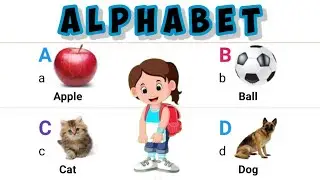 A TO Z - Learn the ABC's and MORE with these Preschool Friendly Books!