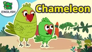 Chameleon | Popcorn | Cartoon For Nursery Kids In English | Piku N Tuki Ep 60/59