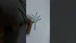 sugar cane drawing for kids.....