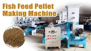 Fish Feed Pellet Making Machine for Efficient Floating Fish Feed Pellet Production🐟🌟#fishfeedmachine