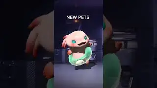 NEW VS OLD PETS #NEWSOLD