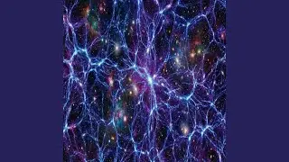 Cosmic Fragments