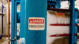 What Is Ammonia ?