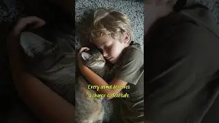 Animals Love Us in the Purest Ways ❤️🐾 wagging tails to gentle purrs #dogs #cats #pets #petlovers