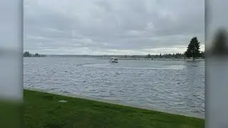 Swimmer drowns at Lake Tapps