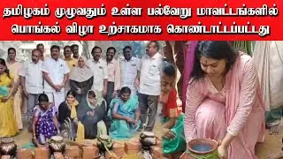 தமிழகம் முழுவதும் உள்ள பல்வேறு மாவட்டங்களில் பொங்கல் விழா உற்சாகமாக கொண்டாட்டப்பட்டது