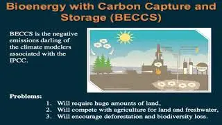 Marine Microalgae: Climate, Energy, and Food Security for the 21st Century