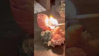 Свеча из ракушек своими руками 🕯️💕✨ #искусство #сделайсам #ракушки #свеча #декоркомнаты #декор #и...