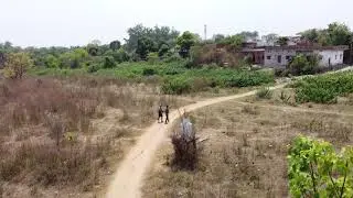 IB river....Brajrajnagar Jharsuguda dist...Drawn shooot...