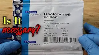 Mold 600 - Is it Necessary