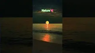 Nature💘. #nature #naturelovers #natural #song #love #hindisong #bollywood #lovesong #new #sorts #sor