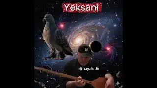 Neşet Ertaş T&uuml;rk&uuml;leri Yeksani D&uuml;zeninde #saz #bağlama #t&uuml;rk&uuml; #mahzunişerif #uykudamısın