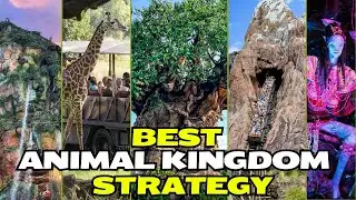 BEST Lightning Lane Strategy for Disney Worlds Animal Kingdom | ALL Rides in Half a Day