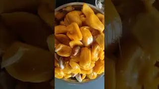Jackfruit Free Stock Footage #2