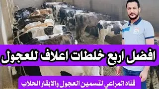 اربع تركيبات اعلاف بسيطه ترفع معدلات التحويل 200% وتصل بعجولك الى اعلى الاوزان Calf feed formula