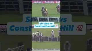 Посмотрите, как сэр Джино и Constitution Hill выиграли рождественский забег с препятствиями Ladbr...
