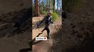 INSANE YOSEMITE MOUNTAIN FOREST TRAIL RUN 🏞️🌳🏃🏽 #trailrunning #running #runeveryday #run
