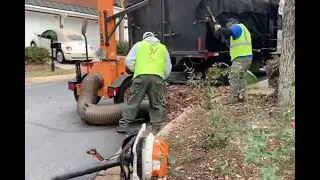 Leaf Removal Foreman Training and Field Work