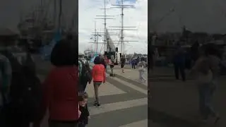Demonstration ARIWA - Fische, Wale und andere Meereslebewesen - Demo - Tierrechte - Aktivismus