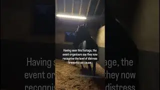 This is the effect fireworks can have on horses.