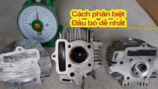 Cách phân biệt đầu bò dễ nhất Minh Thế HonDa