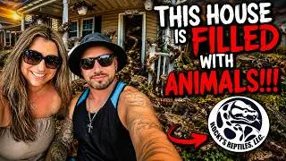INSIDE A HOME FILLED WITH HUNDREDS OF REPTILES! WHAT WE FOUND WAS WILD! #travel #animals #education 