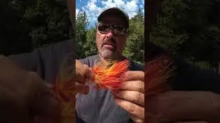 Catch America Apollo in Action #shorts #fishing #fishingtechniques