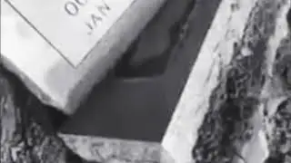 2018 PSA 🙏🙏💯Vandalism to headstones and why kenneka Jenkins shouldn't have one yet 🙏💜🙏💜💯