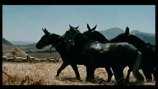 Cortometraggio di Vittorio De Seta del 1955 sul lavoro agricolo nella Sicilia centrale.