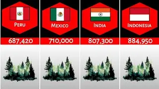 List of countries by forest area (percentage km2) || Must4U