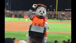 SF Giants mascot Lou Seal