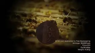 1,5 euro coin dedicated to Tree Beekeeping