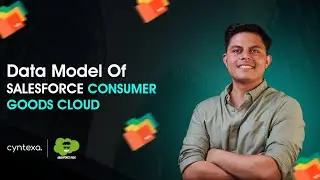 Salesforce Consumer Goods Cloud Data Model