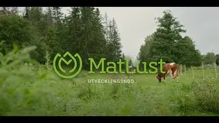 V&auml;lkommen till MatLust &ndash; en regional utvecklingsnod f&ouml;r livsmedel