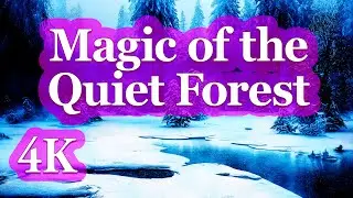 4K | Magic of the Quiet Forest. Calming Video for Sleep, Meditation & Stress Relief (1 Hour) 🏞️❄️🏞️