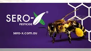 Sero-X: Harnessing the power of peptides