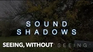 Sound shadows   How blind people can 'see' without seeing