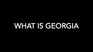The colony of Georgia
