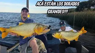 EXPLOTA DE DORADOS 🤯🔥 El RIo de la Plata, Pesca en HUDSON..