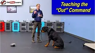 Dog Training - Teaching the Out Command Part 8