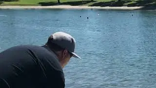 Oxidean marine animal cat , 6s ,100mph rc boat ,fast rc,fast rc boat