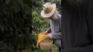 The Birds And The Beans #TheAmazingRace #Birds #Coffee