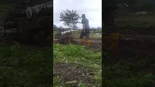 YANMAR TS50 memakai bodi quick impala menyingkal sawah