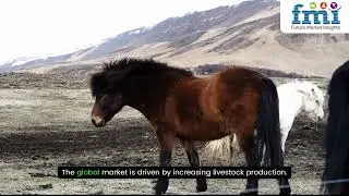 Animal Feed Additives Market 2025 Growth Drivers, Regional Outlook Till 2035