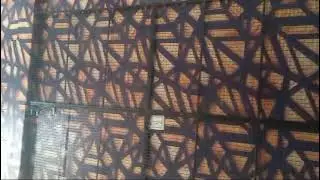 3d flex wallpaper installation