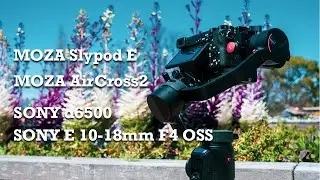 【MOZA Slypod E/AirCross2】SONY &alpha;6500&times;10-18mm F4 OSS　〜Osaka Kyuhoji green〜