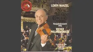 Lagunen-Walzer, Op. 411