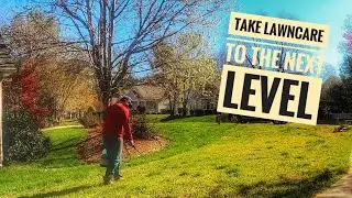 How to Spot Spray Weeds in Your Lawn Using Pro-Grade Weed Killers - Next Level Lawn Care!