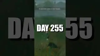 Catching a Shiny Pok&eacute;mon Every Day | Day 255 #pokemon #shorts