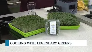 ND Today: Cooking with Legendary Greens